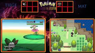 Pokémon Chaos in Vesita SplitScreen 1 [upl. by Hux]