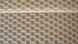 BEESWAX MACHİNE2 [upl. by Obe]