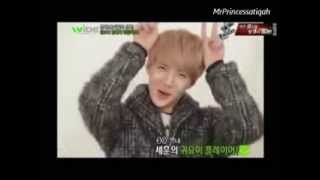 All About Sehun 세훈EXO  Funny Cute Aegyo amp Gwiyomi Compilation [upl. by Hairu470]