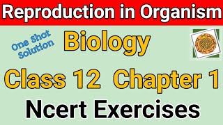 Class 12 biology chapter 1 ncert question answer ncert class 12 biology chapter 1 exercise solution [upl. by Eniamej555]