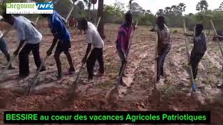 VACANCES AGRICOLES PATRIOTIQUES À BESSIRE CHEZ OUSMANE SONKO LES JEUNES PATRIOTES SACTIVENT [upl. by Otrebireh]