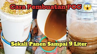 Cara Pembuatan Kompos dan Pupuk Organik Cair POC Sampai Panen POC dari Kulit Nanas [upl. by Endora]