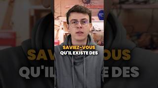 Découvrez les différentes couleurs des panneaux solaires panneauxsolaires autoconsommation diy [upl. by Baynebridge]