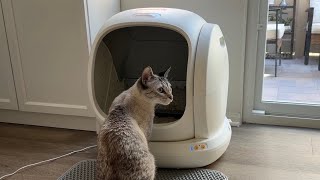 Unboxing  setting up the MeoWant SelfCleaning Cat Litter Box Automatic litter box review  demo [upl. by Ekez]