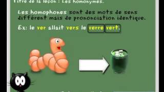 Les homonymes homophones et homographes Cours vidéo et exercices de français CE2 CM1 CM2 [upl. by Ewer9]