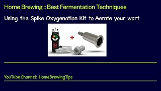 Home Brewing  Oxygenate your wort with the Spike Oxygenation Kit A show and tell video and review [upl. by Miof Mela]