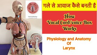 गले से आवाज कैसे निकलती है । How Vocal CordVoice box works । Larynx या गला अंदर से कैसा होता है [upl. by Iramo]