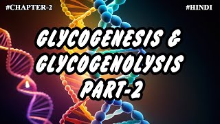 Chapter 2  Metabolism Of Carbohydrates Part9  Glycogenesis amp Glycogenolysis 2 [upl. by Romanas]