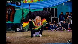 Ganador Predilecto Tobas Bolivia 2017  Chunchos Viejos [upl. by Carena]