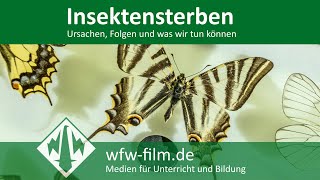 Insektensterben – Ursachen Folgen und was wir tun können [upl. by Tab]