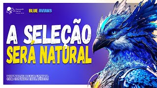 Contato BLUES AVIANS  Hipnose Regressiva com CONTATOS EXTRAFISICOS 682 cassyahfaria [upl. by Bower]