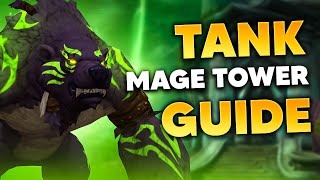 1015 TANK MAGE TOWER GUIDE  Guardian Druid PoV [upl. by Uot]