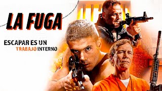 La Fuga 🏃  Película de Acción en Español Latino  Louis Mandylor Kristos Andrews [upl. by Arlyn]