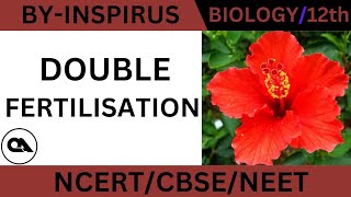 DOUBLE FERTILISATION  CLASS12  CBSE  NEET [upl. by Ayo567]