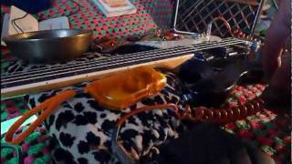 mosrite bass improvisation [upl. by Belinda272]