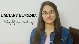 URINARY BLADDER  ANATOMY  SIMPLIFIED [upl. by Ahsinuq]