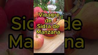 Cómo usar el Vinagre de Manzana [upl. by Milissent]