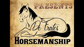 Influencing the Four Pillars of Horsemanship [upl. by Nilrak]