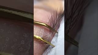 Layered Eyelash Extension Tiplashtips lashtutorial lashes lashextensions [upl. by Dlareme]