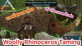 ARK Mobile มือถือ EP38 จับแรดสองนอกันเถอะชนทีมีล้ม Woolly Rhinoceros Taming [upl. by Baggott]