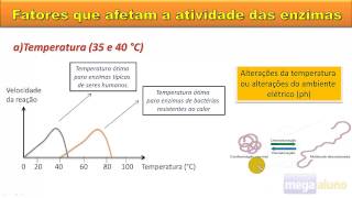 Enzimas  Catalisadores Biológicos  material na descrição [upl. by Haidadej511]