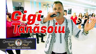 GIGI TANASOIU 🎤 FORMATIA CRINUL BAND DIN TG JIU ✅ COLAJ DE HORE ✅ NUNTA RAZVAN SI MIRELA [upl. by Greggs]