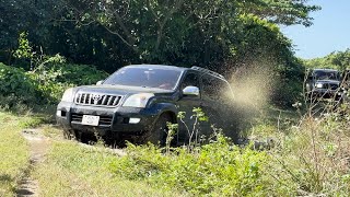 Toyota Prado OffRoad Part 1 [upl. by Flossy814]