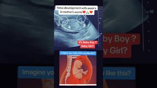 Fetus development with weeks with help of God🥰🥰viralvideo trending viralshorts [upl. by Savina117]