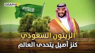 نفط السعودية الأخضر ملايين أشجار الزيتون تزرع في الصحاري [upl. by Noach948]