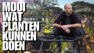 Planten rondom een vijver maken het af Mooie planten voor biodiversiteit [upl. by Dduj]