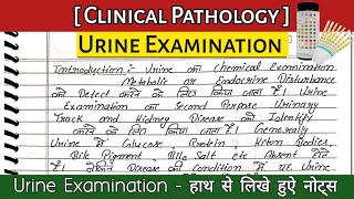 urine examination  urine test  urine examination in hindi  dmlt class in hindi urine dmlt bmlt [upl. by Lemor]