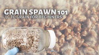 GRAIN SPAWN 101 Start to Finish Tutorial on How to Make Mushroom Grain Spawn from Liquid Culture [upl. by Loriner446]