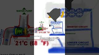 What is a thermostat [upl. by Sheena689]