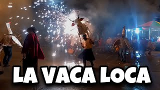 Quema de la Vaca Loca  Fiestas de la Santa Cruz [upl. by Hauhsoj683]