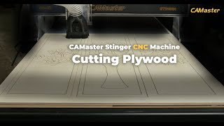 CAMaster Stinger CNC Machine Cutting Plywood Wall Hanging [upl. by Neirol165]