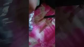 Messho kitchen apron unboxing review vedio 💞💞💞💞💞 shorts viralreels subscribe trending ytviral [upl. by Lacagnia]