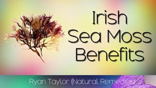 Irish Sea Moss Benefits and Uses [upl. by Cynara]