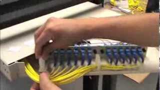 Tech Tip Installation Video How to Install a 12 Fiber Rack Mount Patch Panel  FIBERONE® [upl. by Alodi629]