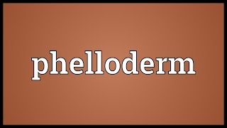 Phelloderm Meaning [upl. by Eleinad]