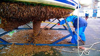 Barnacle Removal From Ships And Boats  The Barnacles With Starbrite Acid for a Smooth Shiny Hull [upl. by Sinclair584]