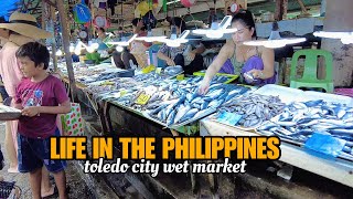 Toledo City Cebu Philippines 4k walking tour [upl. by Whit]