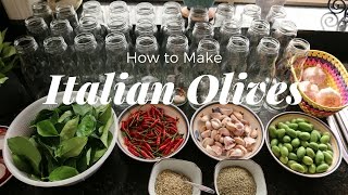 How to Cure Olives Traditional Italian Recipe [upl. by Maddy472]