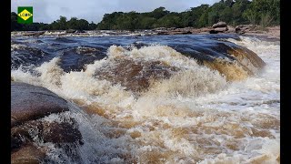 PARQUE NACIONAL JAÚ  2ª PARTE Veja na Qualidade 1080p HD [upl. by Ahseniuq]