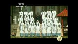 Zemari Fekadu Amare ዘማሪ ፈቃዱ አማረ Enamesegenehalen [upl. by Azeria]