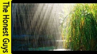 3 HOURS Relaxing Music with Rain Sounds Meditation [upl. by Reifnnej]