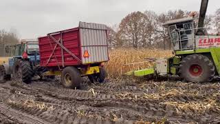 Mais Hakselen met Claas Jaguar 690 kuil 2 44 [upl. by Selma461]