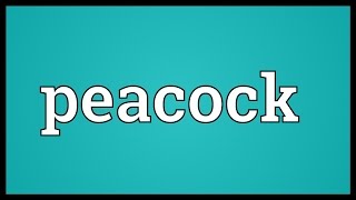 Peacock Meaning [upl. by Jeffery]