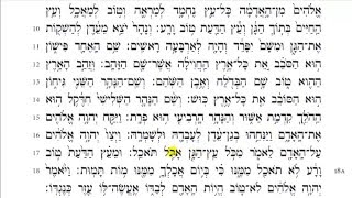 Torah Reading  Genesis Chapter 2 HD [upl. by Nerdna]