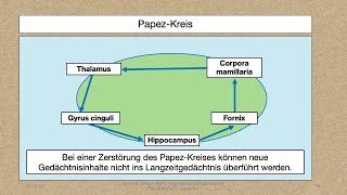 Modul 5 Lektion 244 Anatomie das Myelon PNS Papez Kreis und limbisches System [upl. by Nwahsyd343]