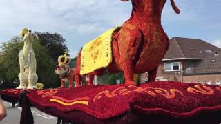 Bloemencorso Lichtenvoorde 2016 Lansink Bluiminck  Opgedoft [upl. by Enak]